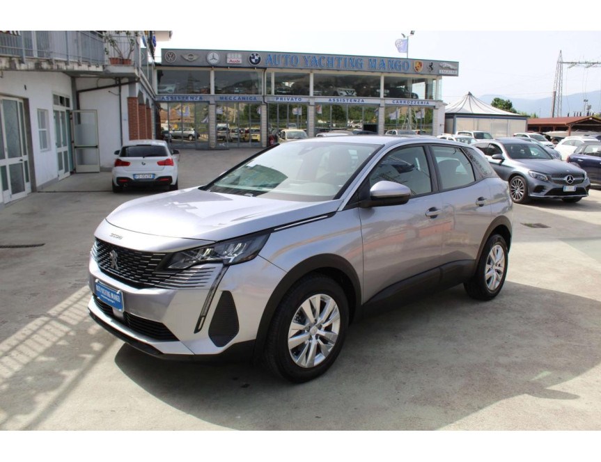 Peugeot 3008 1.5 bluehdi Active Business Garanzia 12 mesi