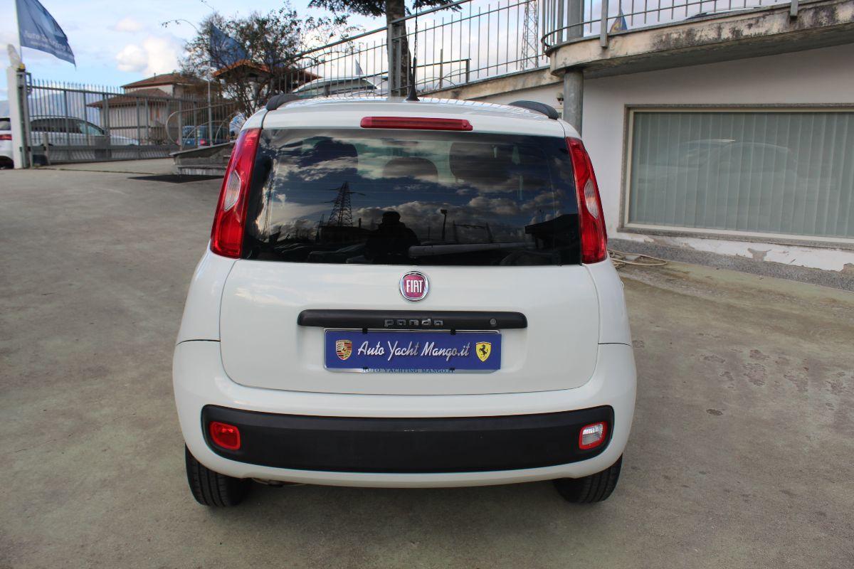 FIAT Panda usata - foto 6 | Auto Yachting Mango Padula
