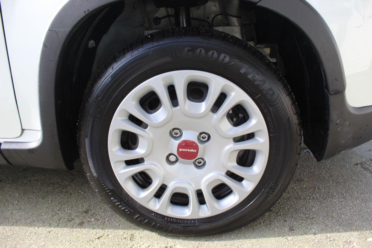 FIAT Panda usata - foto 4 | Auto Yachting Mango Padula