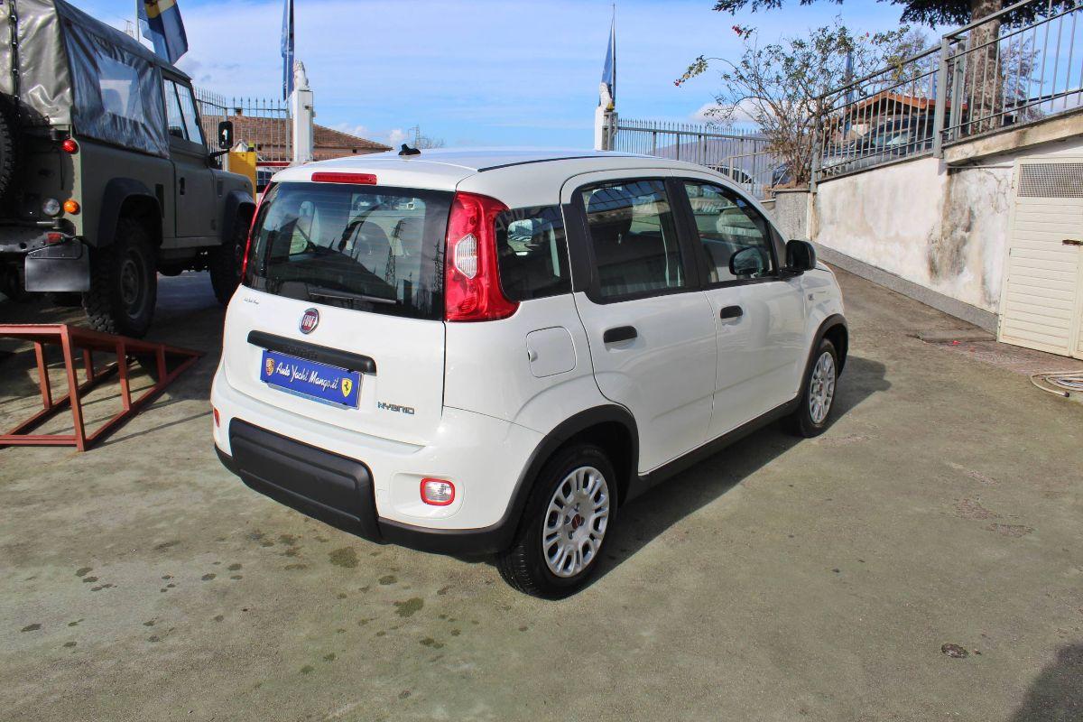 FIAT Panda usata - foto 5 | Auto Yachting Mango Padula