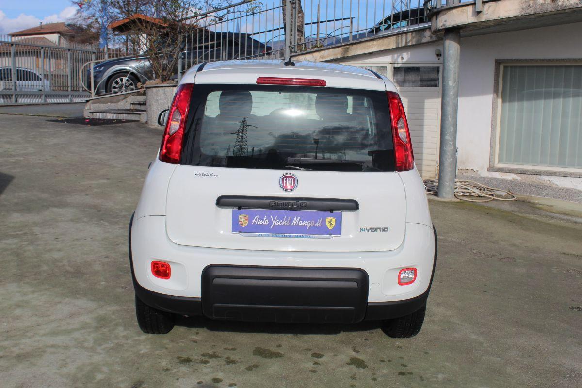 FIAT Panda usata - foto 6 | Auto Yachting Mango Padula